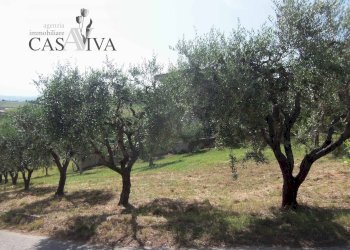 Foto 15 - Terreno edificabile Via Fausto Coppi, Acquaviva Picena - foto 15