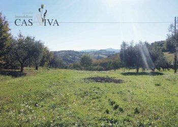 Foto 25 - Rustico Contrada Valle Cecchina
 
8, Monsampolo del Tronto - foto 25