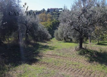 Foto 28 - Rustico Contrada Valle Cecchina
 
8, Monsampolo del Tronto - foto 28