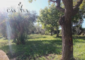 Foto 34 - Rustico Contrada Valle Cecchina
 
8, Monsampolo del Tronto - foto 34