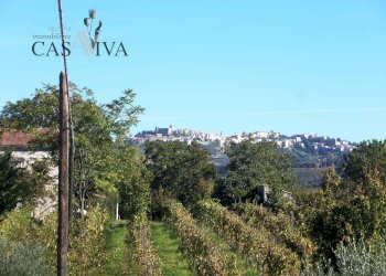 Foto 38 - Rustico Contrada Valle Cecchina
 
8, Monsampolo del Tronto - foto 38