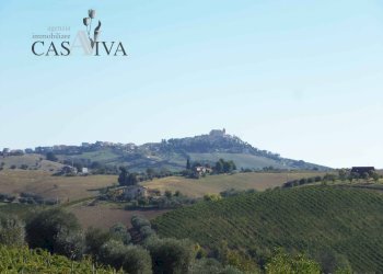 Foto 40 - Rustico Contrada Valle Cecchina
 
8, Monsampolo del Tronto - foto 40