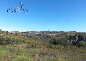 Foto 48 - Rustico Contrada Valle Cecchina
 
8, Monsampolo del Tronto - foto 48