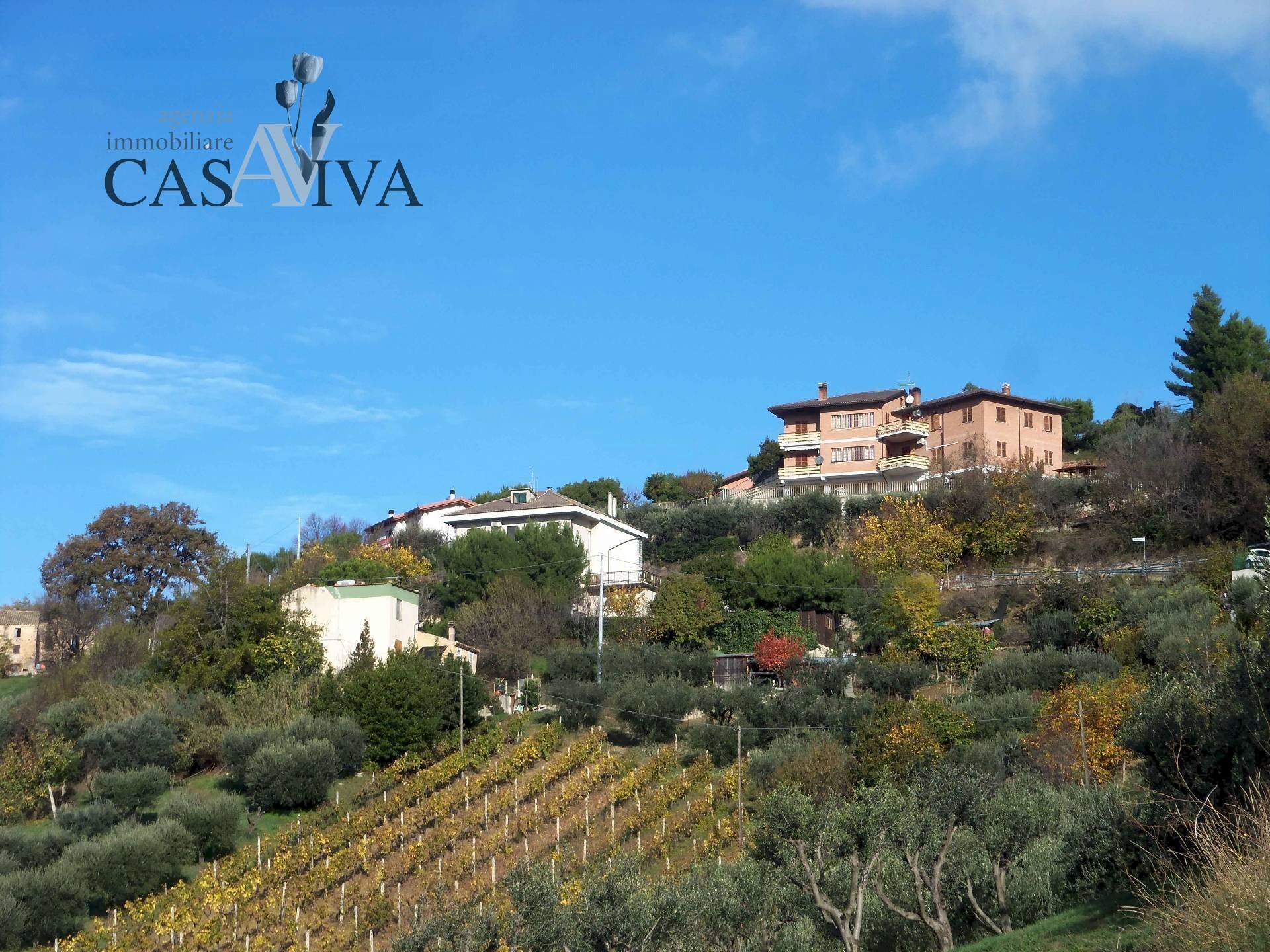 Foto 2 - Terreno agricolo Contrada Campo delle Mura, Acquaviva Picena - foto 2