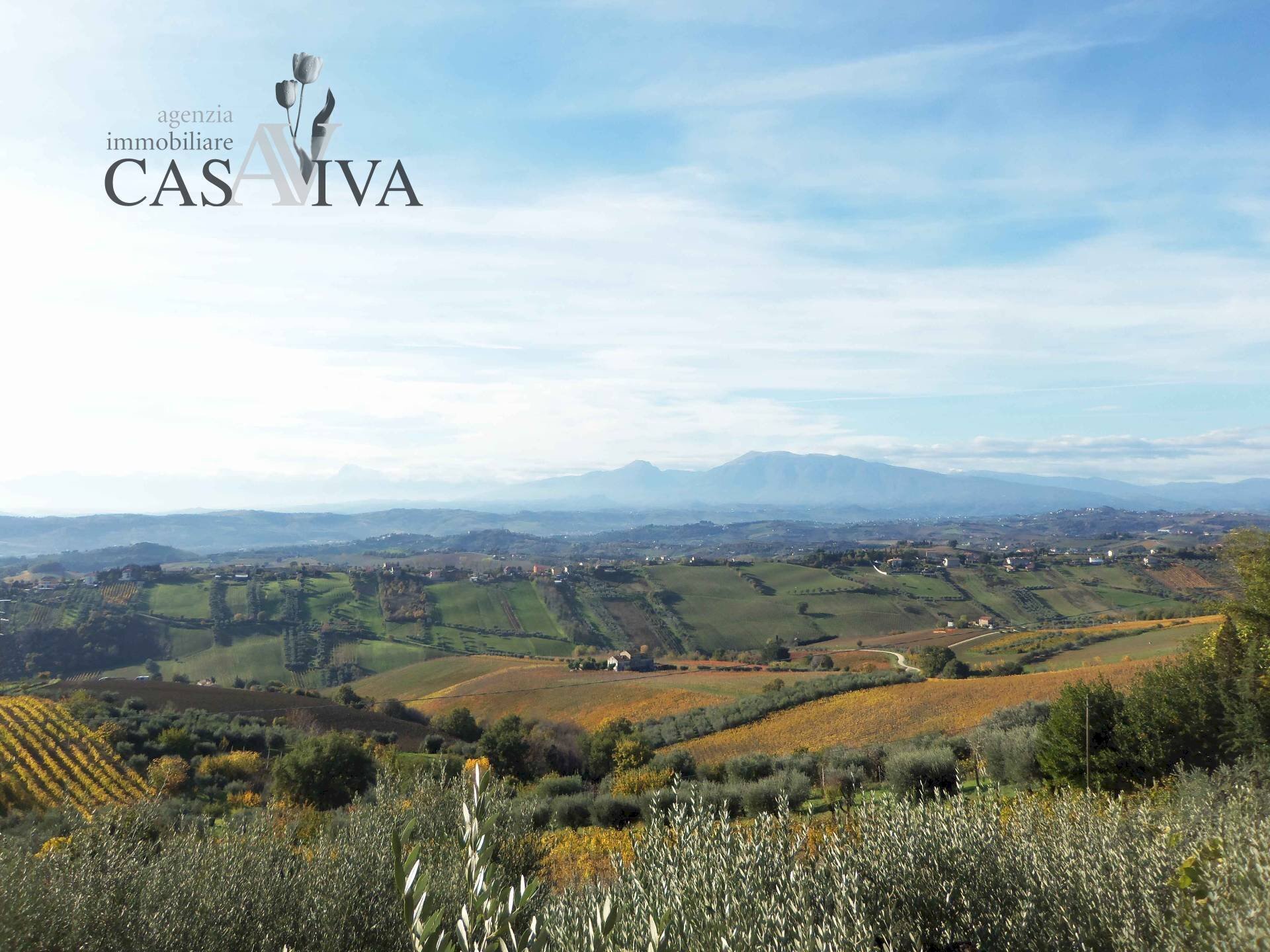 Foto 3 - Terreno agricolo Contrada Campo delle Mura, Acquaviva Picena - foto 3