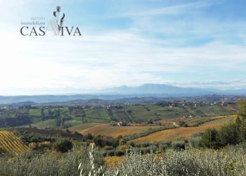 Foto 3 - Terreno agricolo Contrada Campo delle Mura, Acquaviva Picena - foto 3