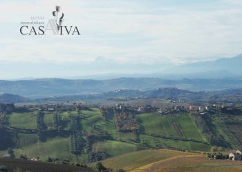 Foto 5 - Terreno agricolo Contrada Campo delle Mura, Acquaviva Picena - foto 5