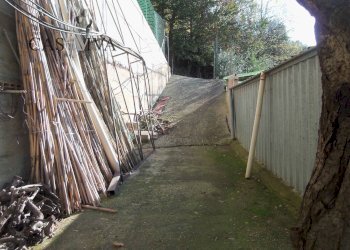 Foto 6 - Terreno agricolo Contrada Campo delle Mura, Acquaviva Picena - foto 6