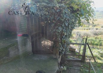 Foto 7 - Terreno agricolo Contrada Campo delle Mura, Acquaviva Picena - foto 7