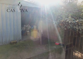 Foto 8 - Terreno agricolo Contrada Campo delle Mura, Acquaviva Picena - foto 8