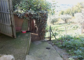 Foto 16 - Terreno agricolo Contrada Campo delle Mura, Acquaviva Picena - foto 16