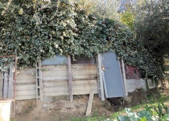 Foto 20 - Terreno agricolo Contrada Campo delle Mura, Acquaviva Picena - foto 20