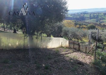 Foto 26 - Terreno agricolo Contrada Campo delle Mura, Acquaviva Picena - foto 26