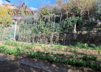 Foto 29 - Terreno agricolo Contrada Campo delle Mura, Acquaviva Picena - foto 29