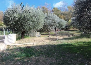 Foto 32 - Terreno agricolo Contrada Campo delle Mura, Acquaviva Picena - foto 32