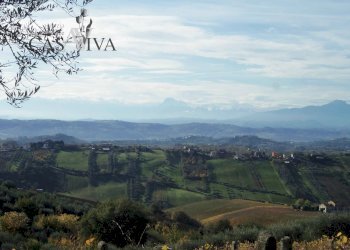 Foto 36 - Terreno agricolo Contrada Campo delle Mura, Acquaviva Picena - foto 36