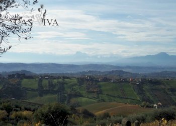 Foto 38 - Terreno agricolo Contrada Campo delle Mura, Acquaviva Picena - foto 38