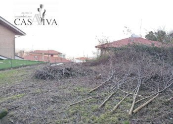 Foto 2 - Terreno edificabile Via C. A. Dalla Chiesa, Acquaviva Picena - foto 2