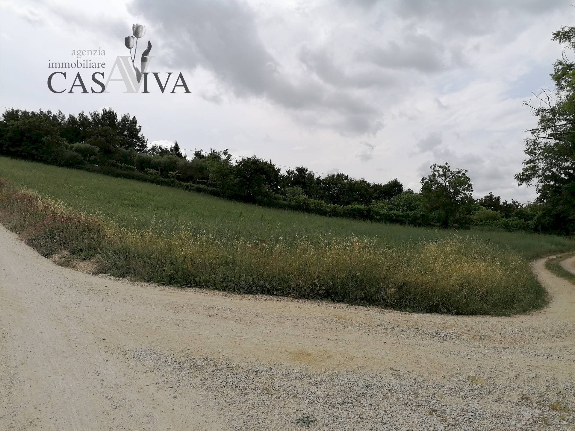 Foto 2 - Terreno agricolo contrada Collelungo, Acquaviva Picena - foto 2