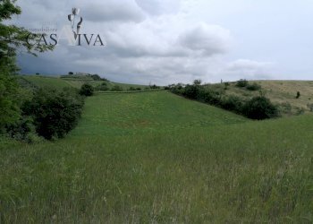 Foto 1 - Terreno agricolo contrada Collelungo, Acquaviva Picena - foto 1