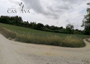 Foto 2 - Terreno agricolo contrada Collelungo, Acquaviva Picena - foto 2