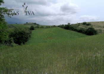 Foto 3 - Terreno agricolo contrada Collelungo, Acquaviva Picena - foto 3