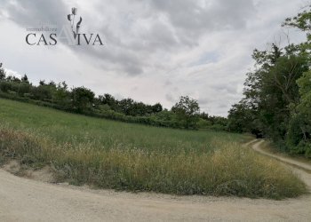 Foto 4 - Terreno agricolo contrada Collelungo, Acquaviva Picena - foto 4