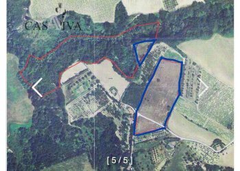 Foto 5 - Terreno agricolo contrada Collelungo, Acquaviva Picena - foto 5