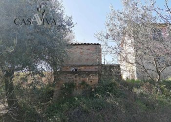 Foto 5 - Rustico Contrada Fontepezzana
 
10, Acquaviva Picena - foto 5