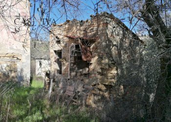 Foto 9 - Rustico Contrada Fontepezzana
 
10, Acquaviva Picena - foto 9