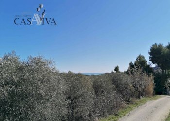 Foto 13 - Rustico Contrada Fontepezzana
 
10, Acquaviva Picena - foto 13