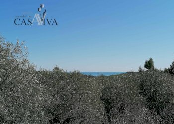 Foto 14 - Rustico Contrada Fontepezzana
 
10, Acquaviva Picena - foto 14