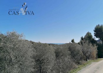 Foto 15 - Rustico Contrada Fontepezzana
 
10, Acquaviva Picena - foto 15