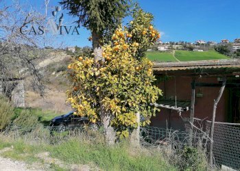 Foto 17 - Rustico Contrada Fontepezzana
 
10, Acquaviva Picena - foto 17