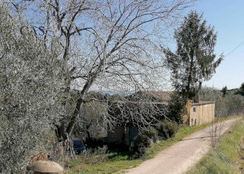 Foto 22 - Rustico Contrada Fontepezzana
 
10, Acquaviva Picena - foto 22