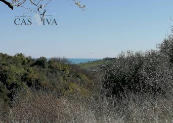 Foto 24 - Rustico Contrada Fontepezzana
 
10, Acquaviva Picena - foto 24