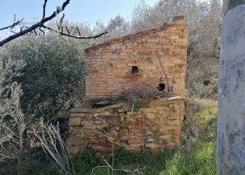 Foto 33 - Rustico Contrada Fontepezzana
 
10, Acquaviva Picena - foto 33