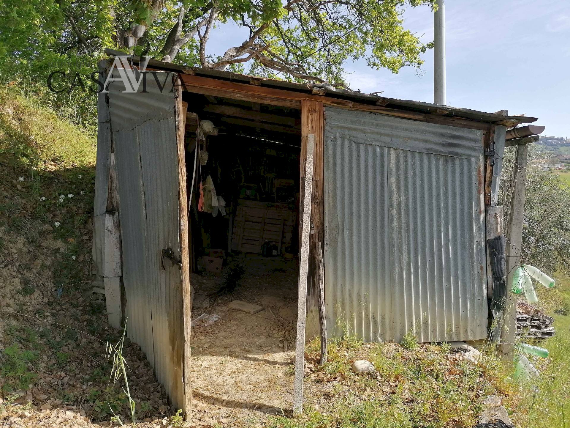 Foto 3 - Terreno agricolo contrada s. maria in accubitu, Acquaviva Picena - foto 3