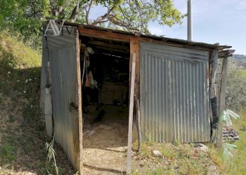 Foto 3 - Terreno agricolo contrada s. maria in accubitu, Acquaviva Picena - foto 3