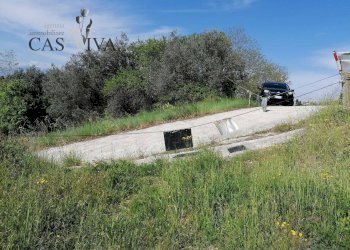 Foto 5 - Terreno agricolo contrada s. maria in accubitu, Acquaviva Picena - foto 5