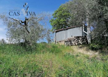 Foto 6 - Terreno agricolo contrada s. maria in accubitu, Acquaviva Picena - foto 6