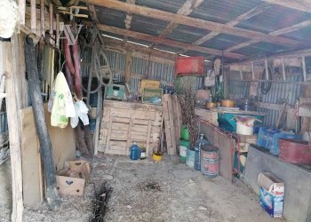 Foto 7 - Terreno agricolo contrada s. maria in accubitu, Acquaviva Picena - foto 7