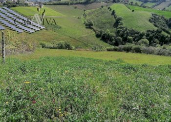 Foto 8 - Terreno agricolo contrada s. maria in accubitu, Acquaviva Picena - foto 8