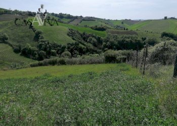 Foto 9 - Terreno agricolo contrada s. maria in accubitu, Acquaviva Picena - foto 9