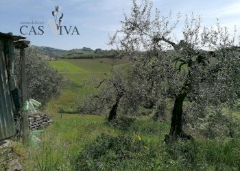 Foto 10 - Terreno agricolo contrada s. maria in accubitu, Acquaviva Picena - foto 10