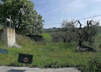 Foto 12 - Terreno agricolo contrada s. maria in accubitu, Acquaviva Picena - foto 12