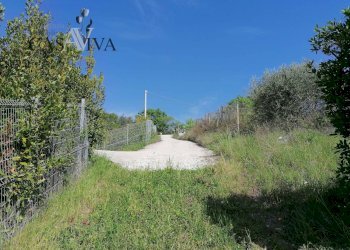 Foto 15 - Terreno agricolo contrada s. maria in accubitu, Acquaviva Picena - foto 15