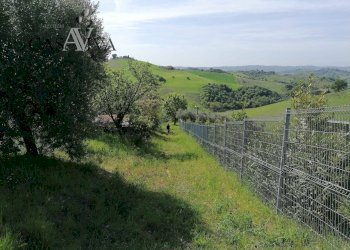 Foto 16 - Terreno agricolo contrada s. maria in accubitu, Acquaviva Picena - foto 16