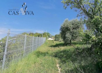 Foto 17 - Terreno agricolo contrada s. maria in accubitu, Acquaviva Picena - foto 17