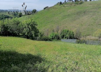 Foto 19 - Terreno agricolo contrada s. maria in accubitu, Acquaviva Picena - foto 19